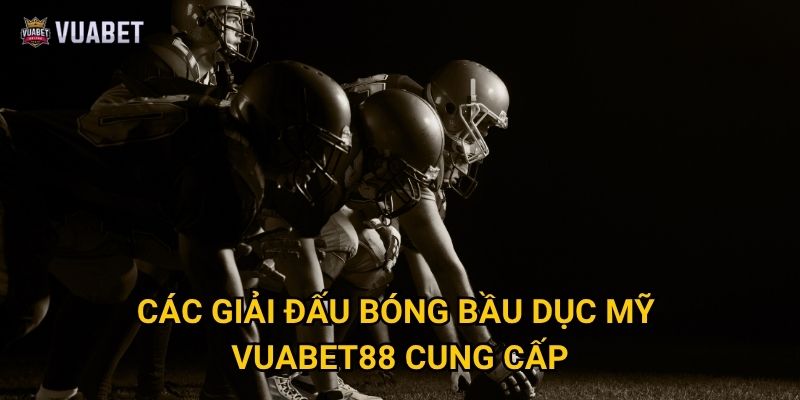 Cược bóng bầu dục Mỹ tại Vuabet88 có hấp dẫn không? 2 Các giải đấu bóng bầu dục Mỹ Vuabet88 cung cấp