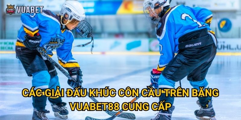 Cược khúc côn cầu trên băng tại Vuabet88 có gì thú vị? 2 Các giải đấu khúc côn cầu trên băng Vuabet88 cung cấp