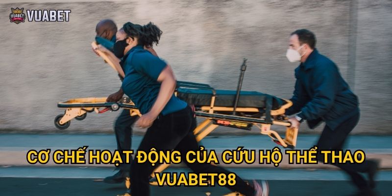 Cơ chế hoạt động của cứu hộ thể thao Vuabet88